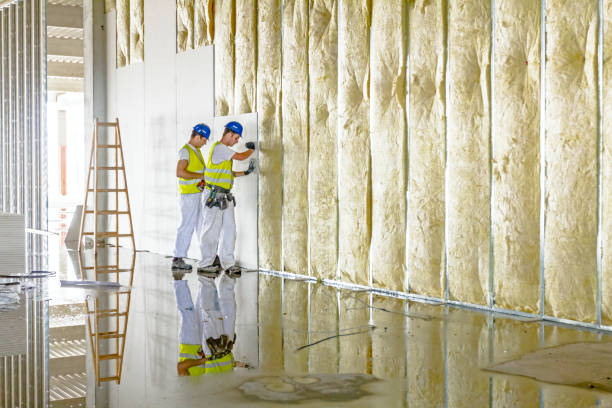 Professional Insulation Contractor in Denham Springs, LA